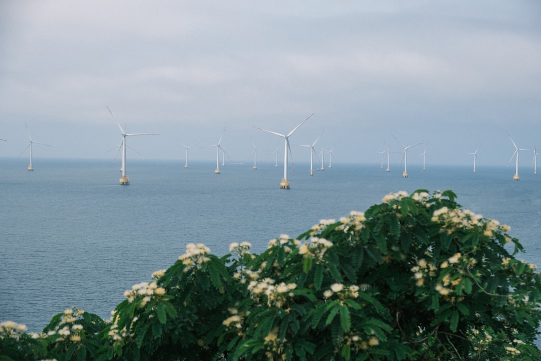 offshore-wind-turbines-in-the-ocean-with-flowering-bush-p10d5pin7sy
